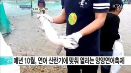 평창 동계올림픽 성공 개최 기원과 함께하는 양양연어축제