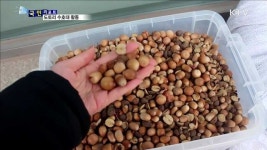 겨울철 야생동물 지키는 도토리 수호대