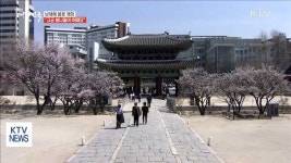 봄꽃 활짝 고궁서 봄나들이 어때요 