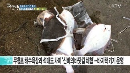 초봄의 별미, 무창포 신비의 바닷길 '주꾸미·도다리 축제'