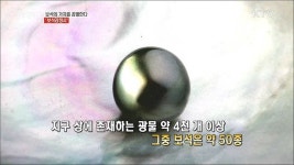 보석의 가치를 매기고 평가하는 