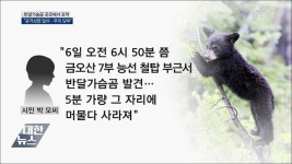 반달가슴곰 구미서도 발견···공격 성향 없어요