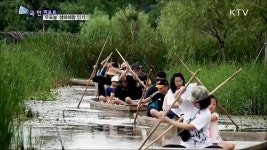 국내 최고의 생태관광 우포늪 체험 인기