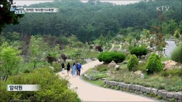 여름휴가 여기 어때요···안산 바다향기수목원’