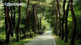 도심 숲 생활 속으로···편하게 다가가요