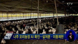 나주 오리농장 AI 확진···살처분·이동제한