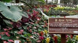 새봄이 찾아왔어요 경주 동식물원 동궁원