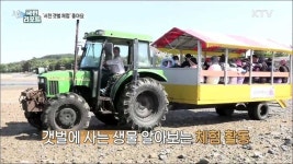 람사르 습지 인증, 서천 갯벌 체험 인기