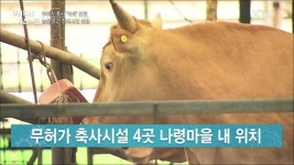 무허가 축사 악취 고통···농촌공간 정비로 탈바꿈 [우리동네 개선문]
