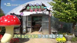 지역자원 활용한 농촌 체험 착한 여행 인기