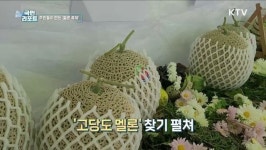 주민들이 만든 멜론 축제 고당도 선보여