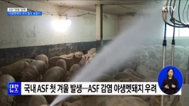 ASF 연중 방역···야생멧돼지 서식밀도 낮춘다