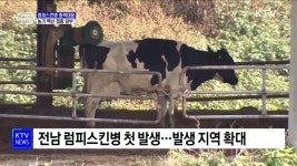 한 총리 럼피스킨병 확산방지 총력대응···백신 접종 당부