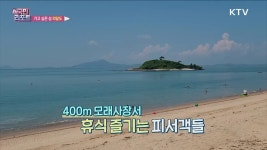 해수풀장·고동 잡기 체험 즐기는 외달도