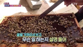 바빠진 꿀벌 생태 알아보는 양봉 체험 인기