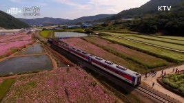 경남 하동 북천역 [함께 힐링]