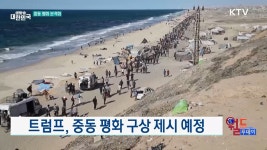 트럼프 