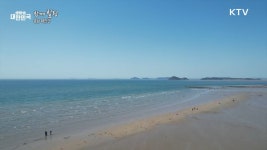 충남 태안군 [함께힐링]