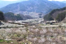 [장애인신문]순천시, 농촌체험,휴양마을 지정