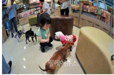 <연재 ⑭> 장애인이 도전해 볼만한 창업 아이템 30선 - 애완동물 및 관련용품 전문점