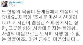 무분별한 자살보도, 금수의 마음 맞다