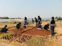 자녀와 함께 하는 또 하나의 즐거움이 됐어요