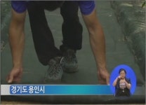 경기, 농작물 푹염피해 예방은 이렇게