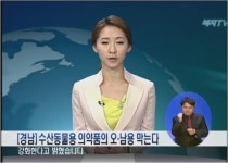 [경남]수산동물용 의약품 오‧남용 막는다