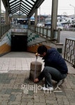 관악구 내, 법규 위반 볼라드 608곳
