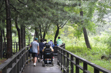 양천구, 장애인 전동보장구 보험가입 지원사업 추진