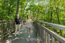 양천구, 지양산 1.26km 순환형 무장애 숲길 완성