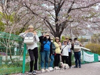 부산 북구장애인종합복지관 도그워커, 장애인 우수일자리 사례 선정