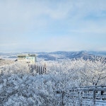 해남에 펼쳐진 눈꽃 세상, 두륜산에서 즐기세요