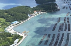 완도군, 763ha 양식 어장 정화 사업 추진