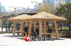 성동구, 구청 앞 초가정자 설치