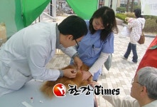 마포구, 유기동물 분양 행사 개최