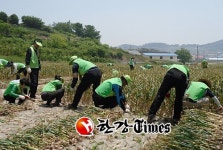 동작구, 농촌일손 돕기 및 의료지원