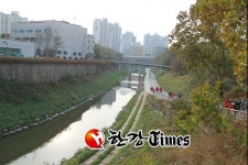 서초구, 반포천 친환경 청정하천 탈바꿈