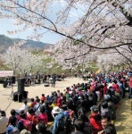 서대문구,  안산 벚꽃 스토리텔링 콘서트