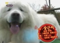 상근이 근황 공개, 사망설은 유언비어..현재 건강한 상태