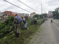 깨끗한 마을조성 노인들이 앞장