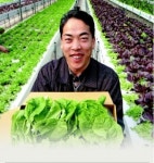 유기농채소 국제인증 획득