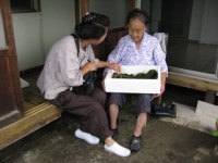 어려운 이웃에 장뇌삼 선뜻