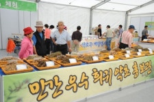 올 가을 건강·추억 한방 에 잡자
