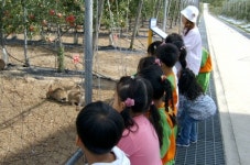 충주과수시험장 인기