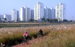 보강천 자전거길 따라 가을 정취 만끽하세요