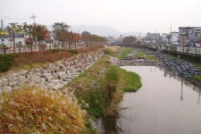 충주천, 생태하천으로탈바꿈