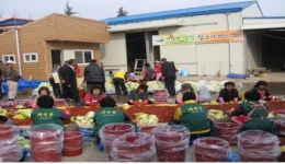 사랑의 김장 1000포기 담가