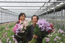 스톡크 재배로 부농꿈 활짝