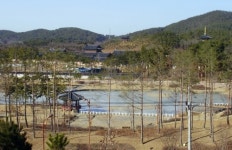 백제역사재현단지 소나무숲 눈길